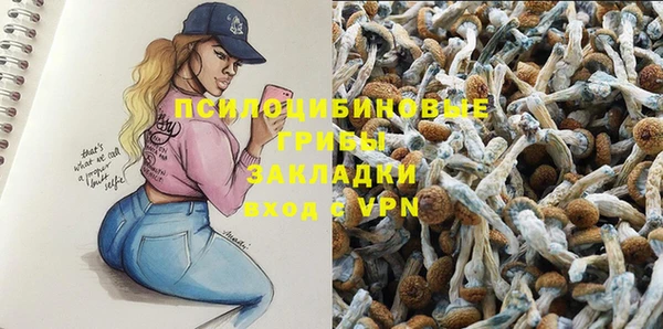 ешки Балахна