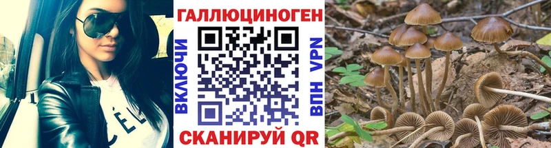 Псилоцибиновые грибы прущие грибы  Шагонар 